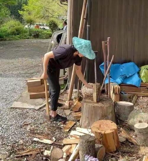 日本农村吃瓜视频,夏日田园生活大揭秘
