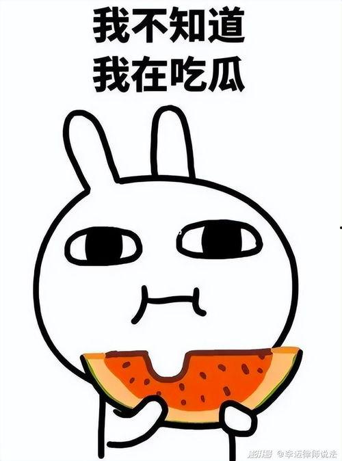 专门讲带娃的吃瓜视频,趣味育儿生活分享